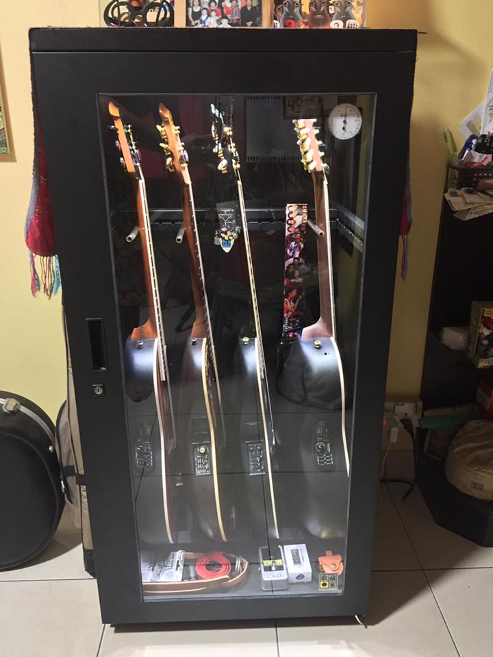 Humidity Controlled Guitar Matttroy